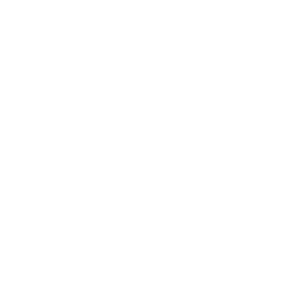 reputation-master-white