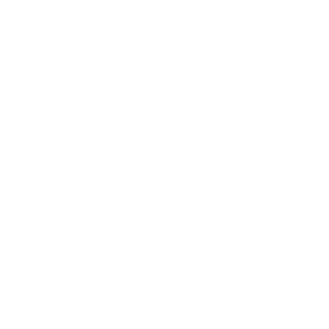reputation-master-white reputation-master-white